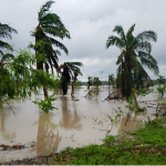 image-of-flooding